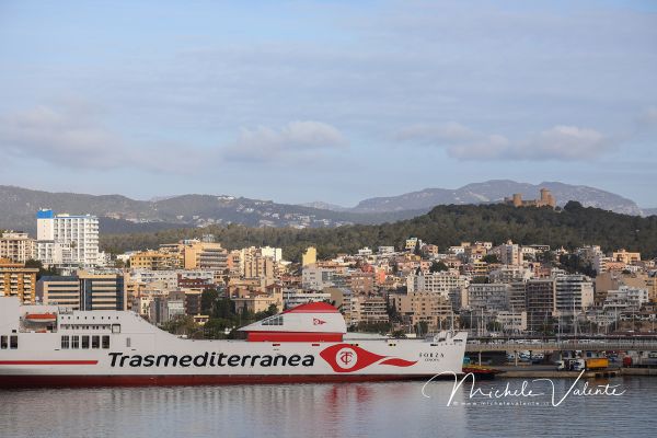 palma-di-maiorca-01B22AEB73-88C4-1458-C218-570CABD91D53.jpg