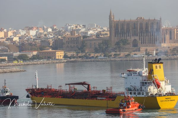 palma-di-maiorca-035D52ADBF-07E4-E027-D864-454FF9A40FDB.jpg