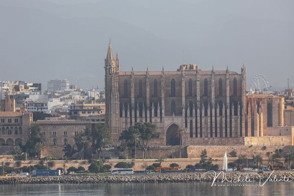 palma-di-maiorca-04E95C7533-1DCA-C376-D203-FD5EE647E149.jpg