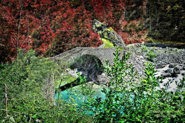 landscapes-02EDF7169A-296E-94F4-3340-E956141873F9.jpg