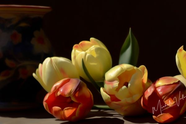 mikyphto-oil-painting-5be74141-7754-41a7-9405-90dc513310909E21E1FD-4606-02F1-8378-4017BB7F7E35.jpg