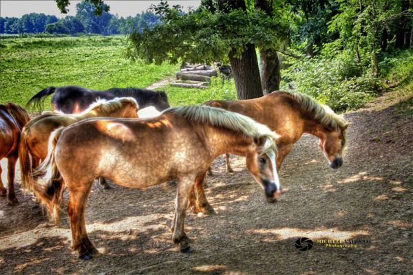 hdr-42E4B6A7EC-7BAF-2557-39EA-35179140B394.jpg