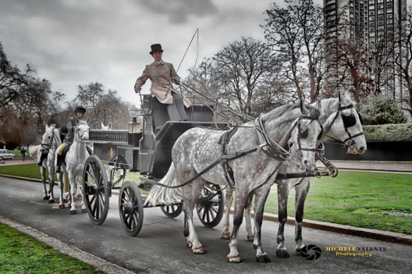 london-5F0E2A582-8642-28DF-0552-AD30EA1FB917.jpg