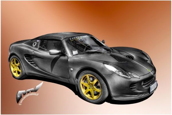 lotus712534E3-0F65-10EF-7213-8D1D86D69072.jpg