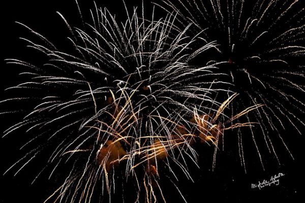 fireworks-233D2737C5-A40C-AF2A-5E9C-557C5CF2C3A9.jpg