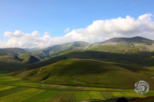 castelluccio-052D2ADA2F-5BEA-3DF7-596D-7F23E4079971.jpg
