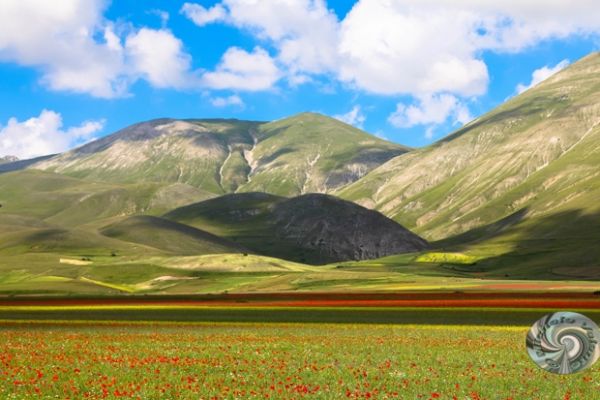 castelluccio-233E35DB1F-6351-6B78-3171-0E768EA3E2DC.jpg