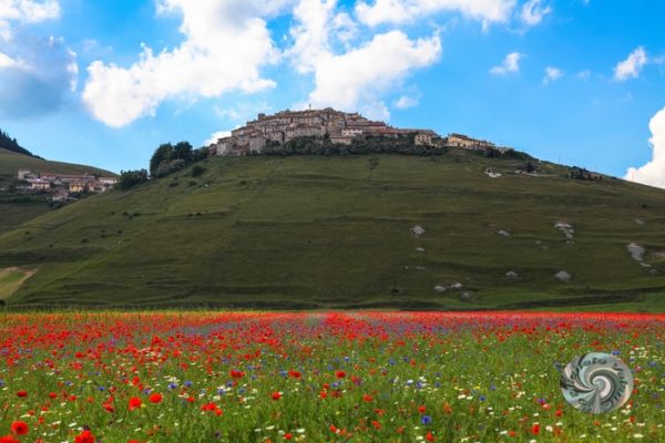 castelluccio-24E200199E-68F7-AC82-CDAD-70FE15635C2F.jpg