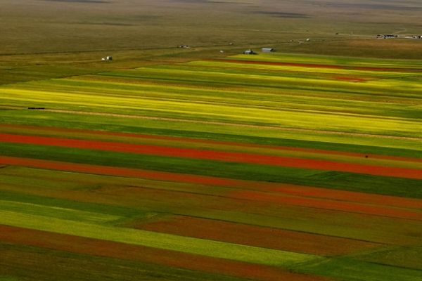 castelluccio-353BB1265E-445D-D4BD-096A-B1D092B51E7B.jpg