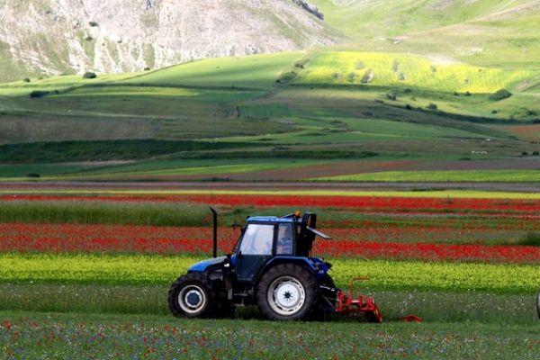 castelluccio-3670254781-F5F0-0869-37C6-84C726086CB3.jpg
