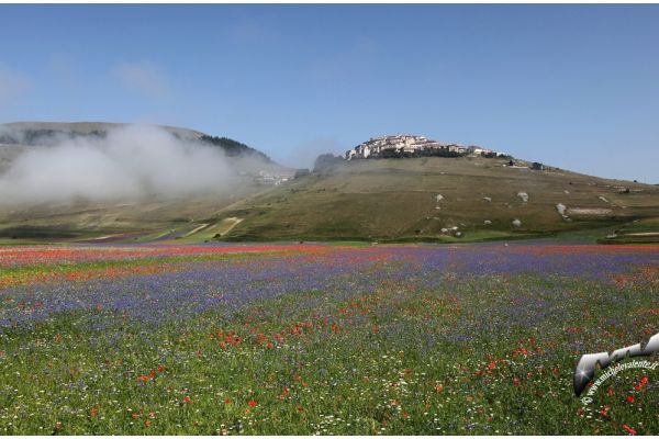 castelluccio-58EF410F96-BC2A-E871-388A-E9247DE3F08C.jpg