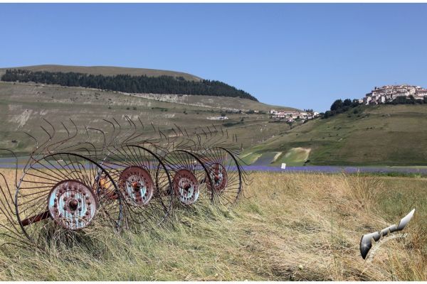 castelluccio-62CB9D641D-53B1-7B12-7183-E8F2180F0A01.jpg
