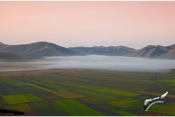 castelluccio-90B9EE5B68-9D2D-ADE8-E931-F416069099E2.jpg