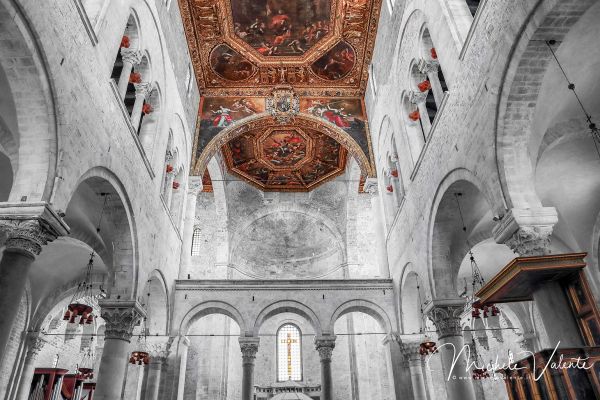 bari-03D8DBB455-DF30-7791-C1F9-9D1B6C4A116B.jpg