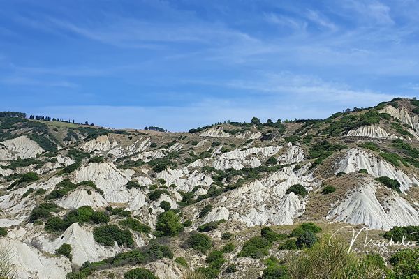 craco-e-calanchi-060E7ACFA2-D1D5-BA1E-1150-CB0A2F2BB761.jpg
