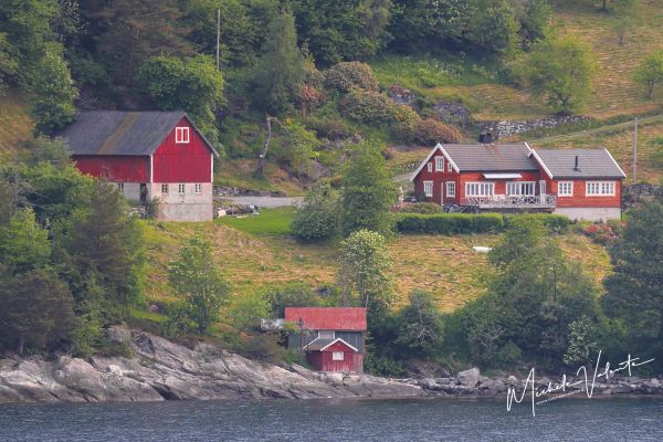 img-22056AF2C480-59B4-4C06-0A33-B119190930A0.jpg