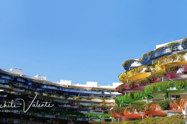 ibiza-0478DD46A9-07CD-EFB4-06A0-AEF132395C0C.jpg