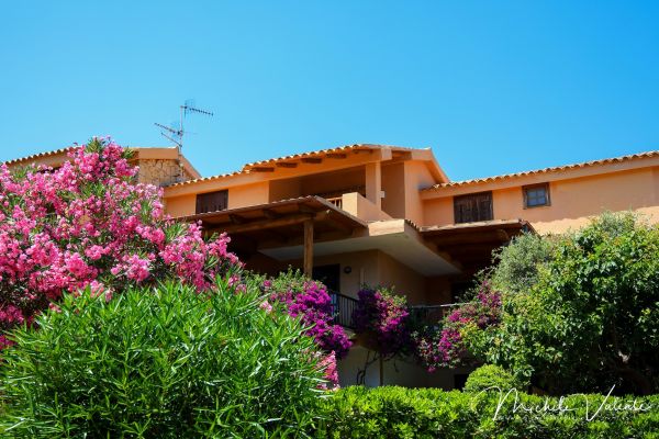 porto-cervo-17F2ED441A-8F31-2253-E694-93C7713ACCF7.jpg