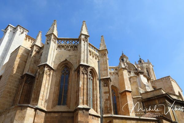 tarragona-1260C95914-CFC3-484E-D0EA-5D16C98DFA46.jpg