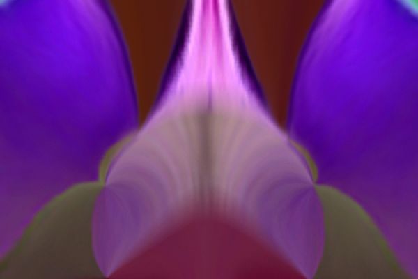 textures-and-backgrounds-06DE9200C9-C3D0-50D7-50E3-DA876B2D0D0D.jpg