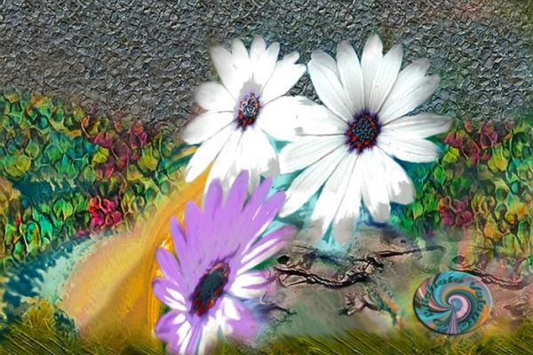 textures-and-backgrounds-23AD608452-5334-CF9C-BB82-4BABA9A94FCB.jpg