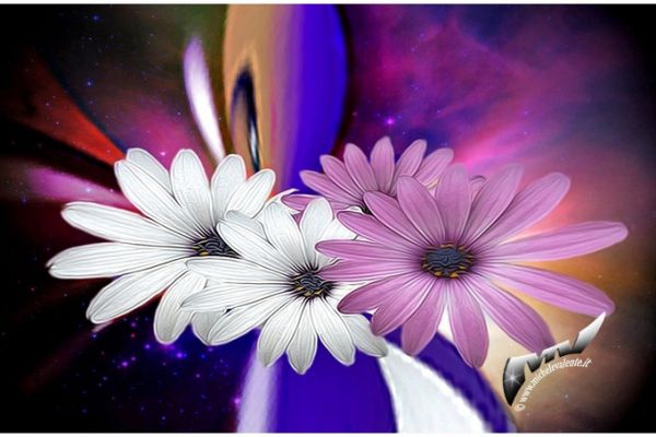 textures-and-backgrounds-32D59EAB16-070D-DF7F-FF90-38CB7456512A.jpg